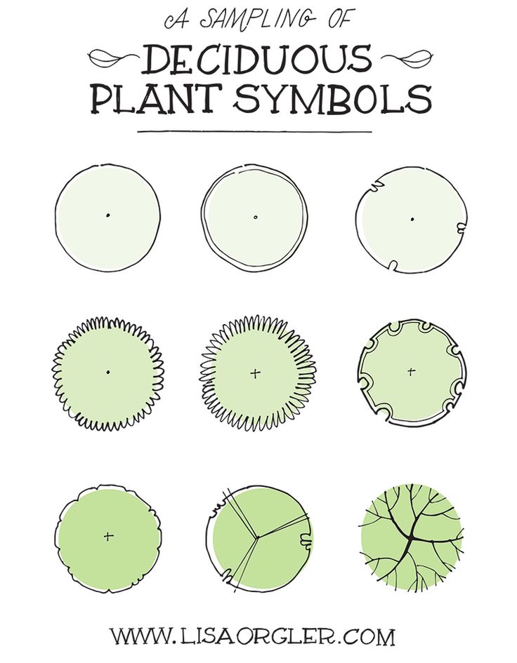 Landscape Architecture Drawing Symbols 107 best tree symbols images on pinterest | landscape design Landscape Architecture Drawing Symbols 107 best tree symbols images on pinterest | landscape design