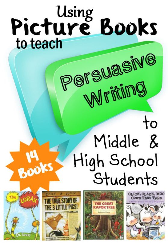 Can a persuasive essay be 3 paragraphs
