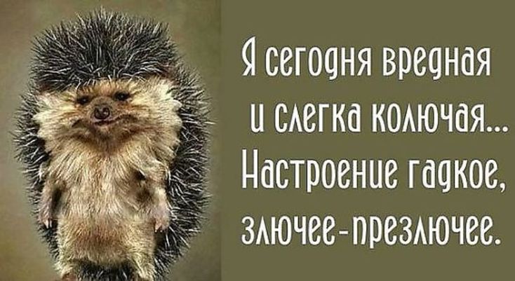 Злюка картинки с надписями прикольные хорошее настроение