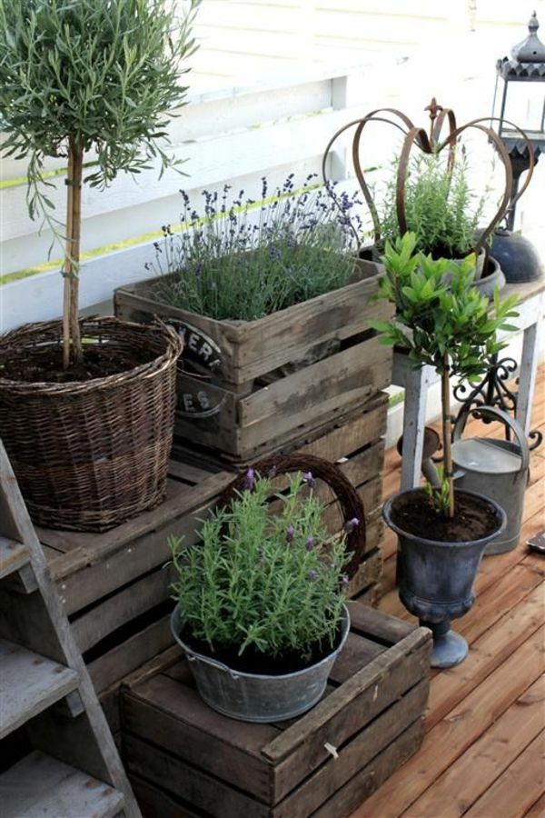 Balkonpflanzung - pflegeleichte Balkonpflanzen #balkonpflanzen #balkonpflanzung...