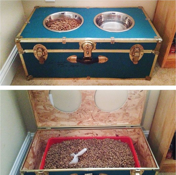 Design For Angled Dog Food Feeding Station Design For Angled Dog Food Feeding Station