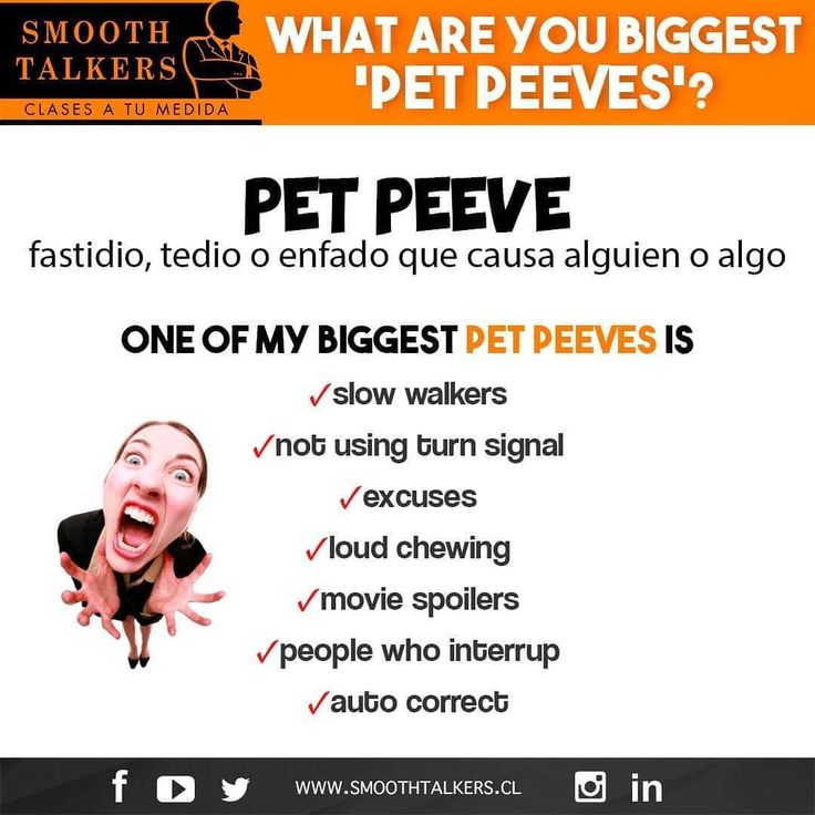 ¿Sabes qué significa "pet peeves"? Apréndelo con este post y aprovecha de comentar los tuyos.