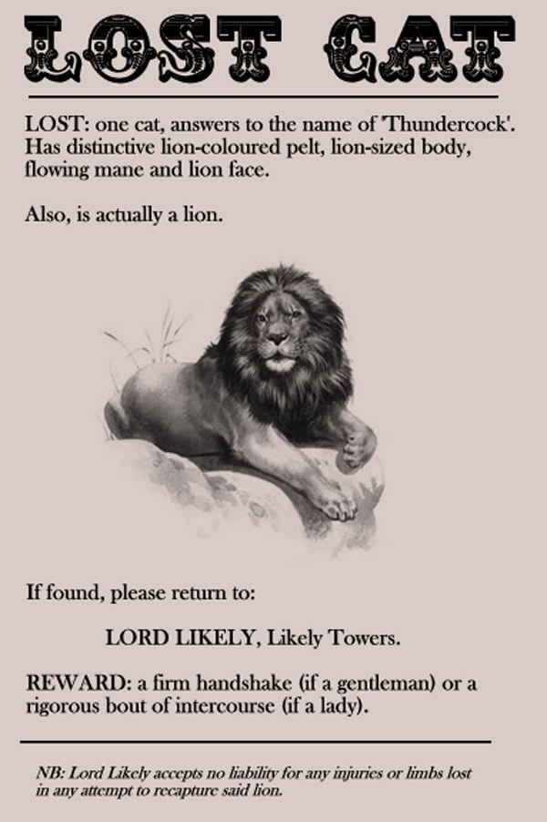 missing pet poster