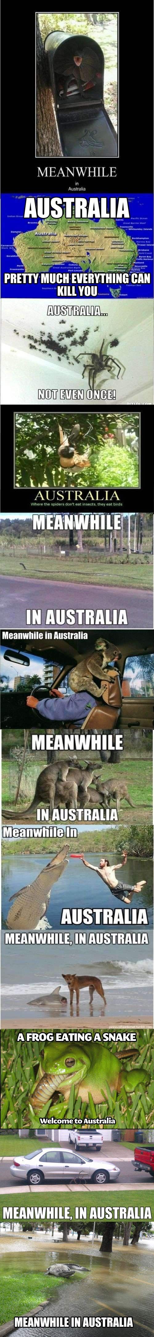 Meanwhile In Australia Compilation Meanwhile In Australia Compilation