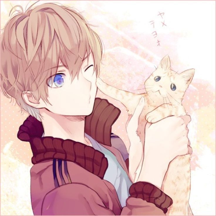 Cute anime cat boys