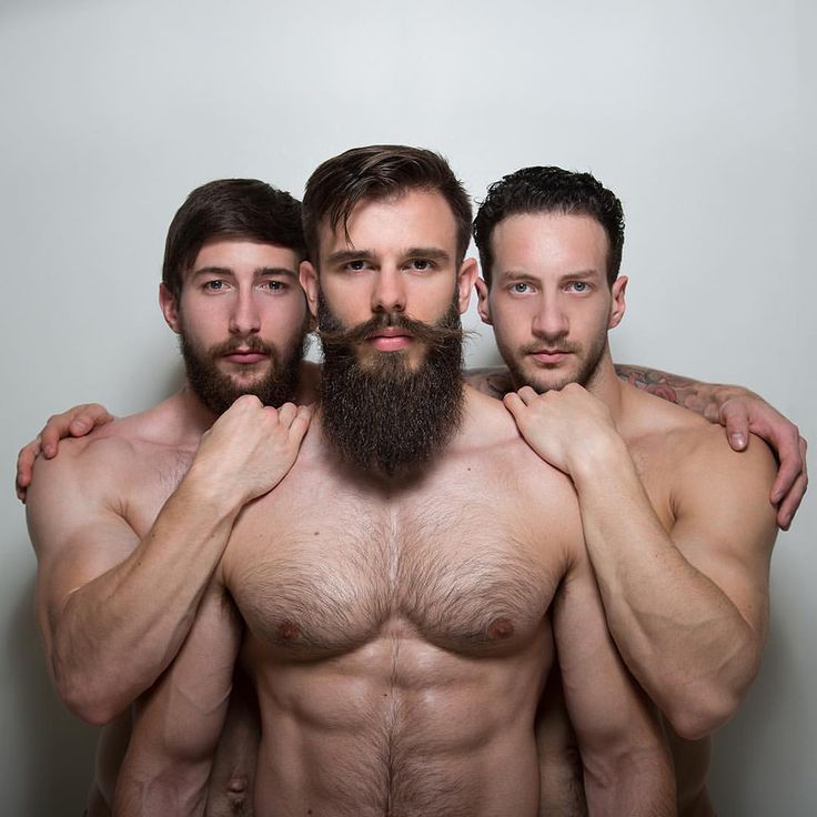 Gay terms beard