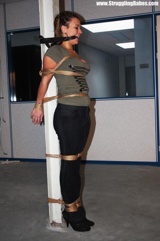 Bound to pole with rope were not Commit Bound to pole with rope how paraphrase?