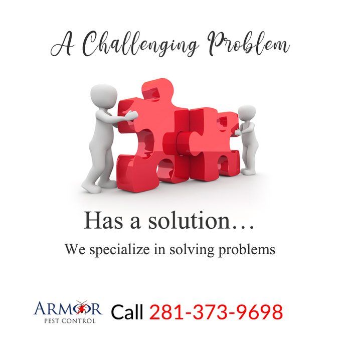 Armor Pest Control On Twitter Problem Solving Armor Pest Control On Twitter Problem, Armor Pest Defense