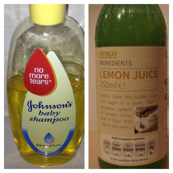 Can I Use Dog Flea Shampoo On Cats Can I Use Dog Flea Shampoo On Cats