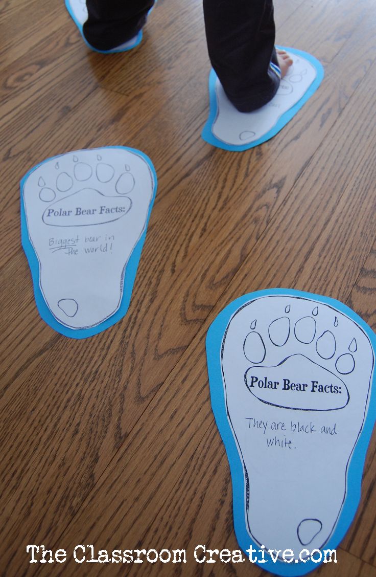 polar-bear-facts-activity-for-kids-free-printable-polar-bear-facts-polar-bear-paw-animal