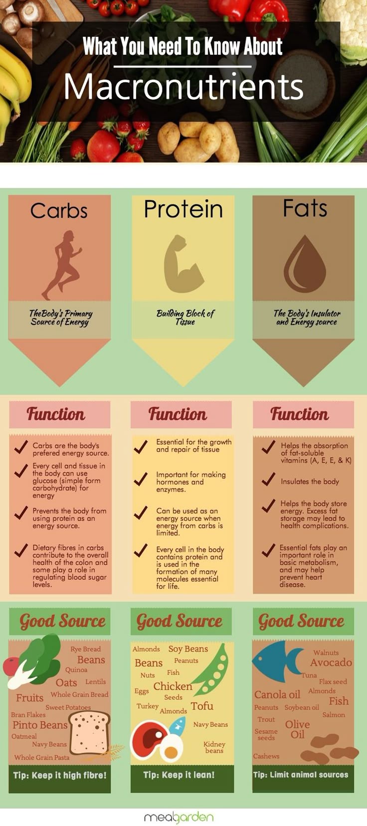 302 best nutrition tips and facts images on pinterest nutrition importance of carbohydrates flyer