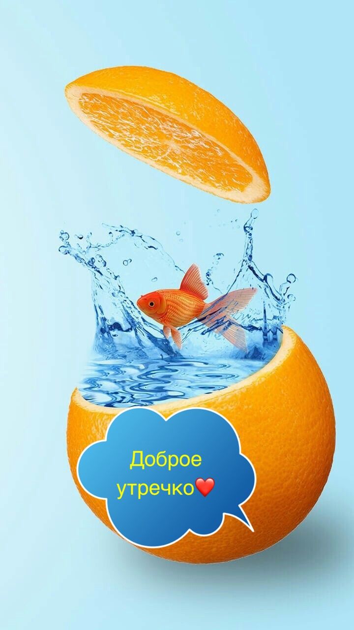 Пенсию картинках, открытки позитивные на каждый день с добрым утром