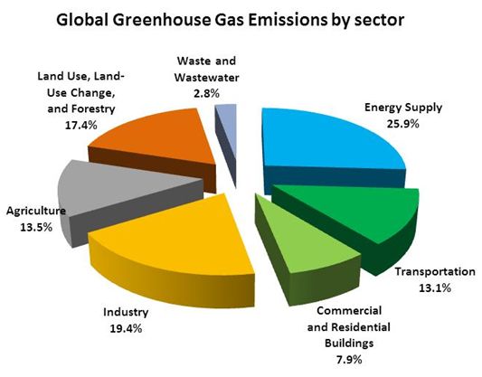 problem and solution essay on global warming problem and solution essay on global warming
