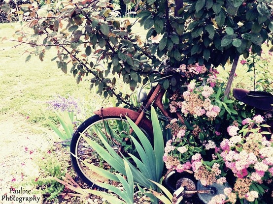 Bicyclette dans les fleurs. Vintage
