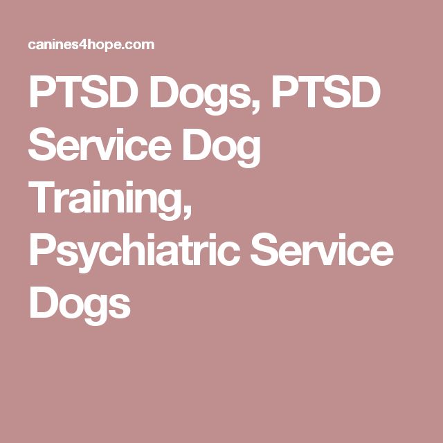 Ptsd Service Dog Training Near Me Ptsd Service Dog Training Near Me