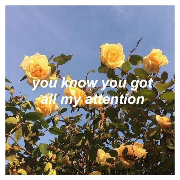 Pin By Asppn On Pretty Things Quote Aesthetic New Quotes Lyrics