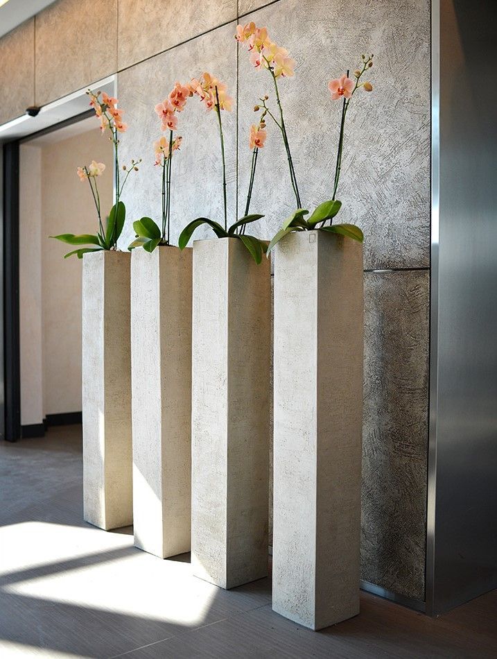 Tall Flowering House Plants best 25+ office plants ideas on pinterest | plants indoor, inside Tall Flowering House Plants best 25+ office plants ideas on pinterest | plants indoor, inside