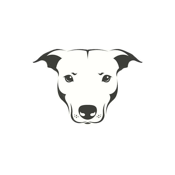 Best 25+ Pet sitting services ideas on Pinterest Dog walking - dog groomer resume Best 25+ Pet sitting services ideas on Pinterest Dog walking - dog groomer resume