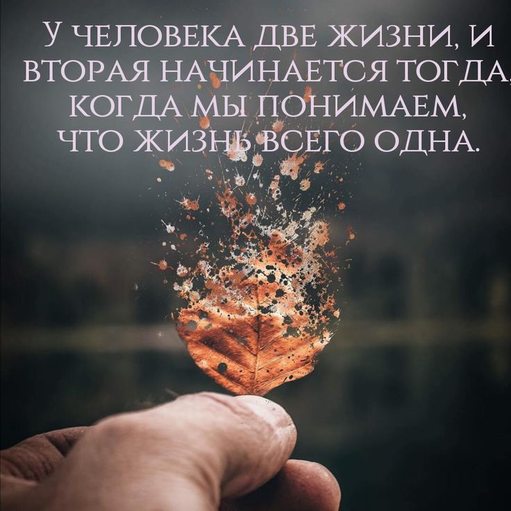 Открытки с фразами и цитатами, делает