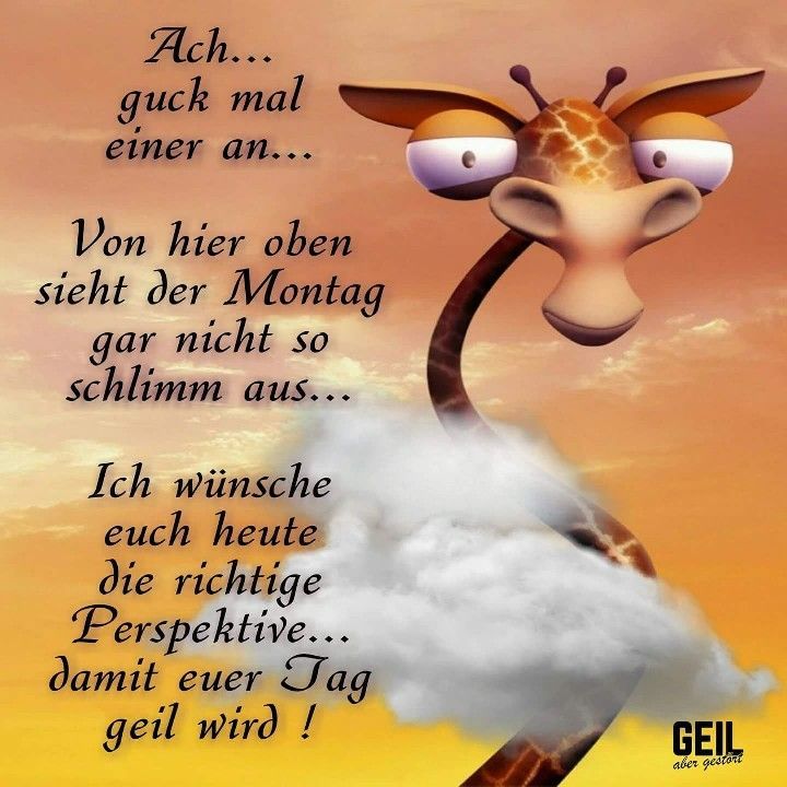 Guten morgen montag bilder kostenlos