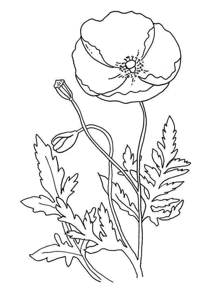 122 best Coloring Pages images on Pinterest | Coloring pages, Free ... 122 best Coloring Pages images on Pinterest | Coloring pages, Free ...