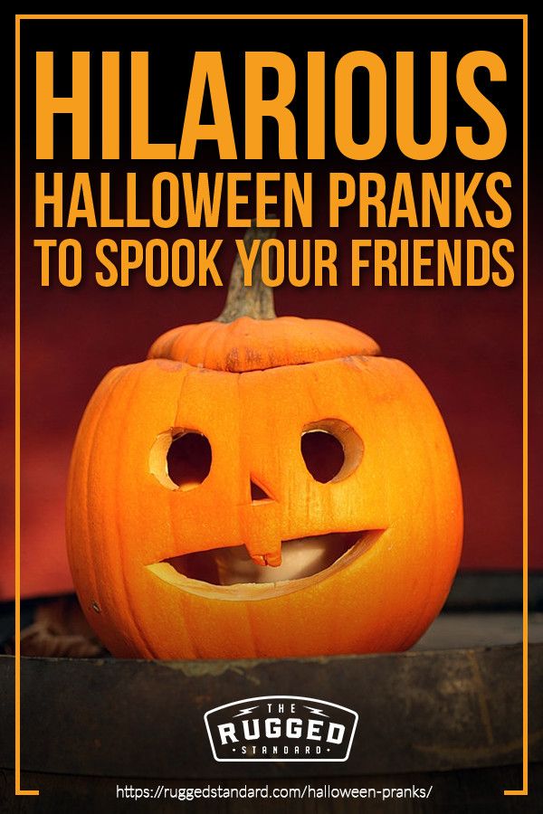 Pin On Funny Memes