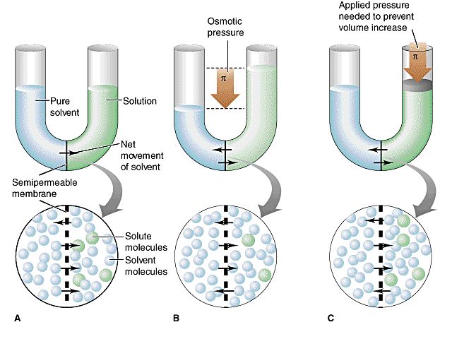 osmotic pressure osmotic pressure