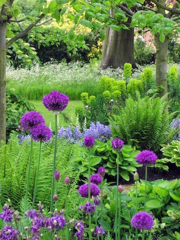 Flower Garden Ideas Shade best 25+ shade garden ideas on pinterest | shade plants, shade Flower Garden Ideas Shade best 25+ shade garden ideas on pinterest | shade plants, shade