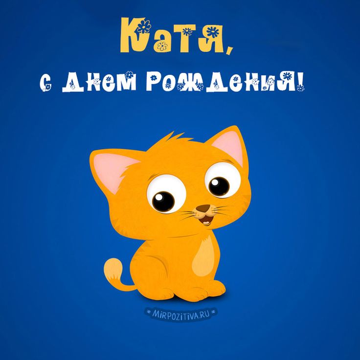 Картинка с днем рождения катя детская, фото красивые лошади