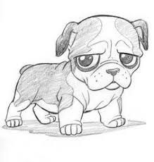 animals drawings