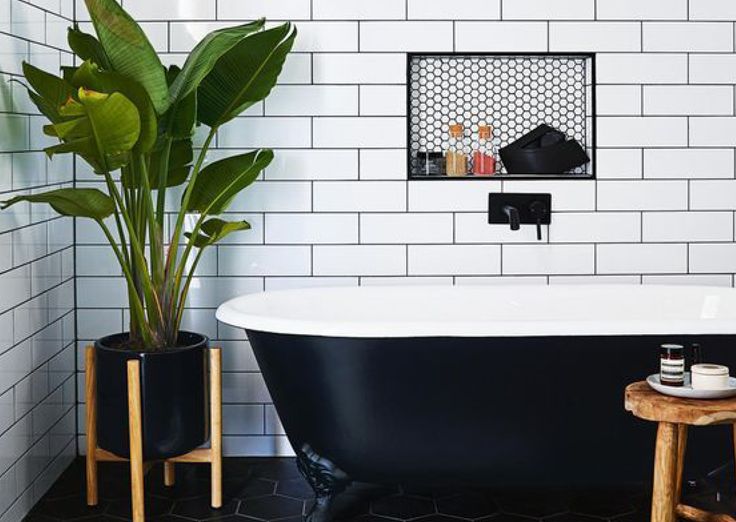 planten in badkamer 25 beste idee 235 n over badkamer planten op pinterest planten in badkamer 25 beste idee 235 n over badkamer planten op pinterest