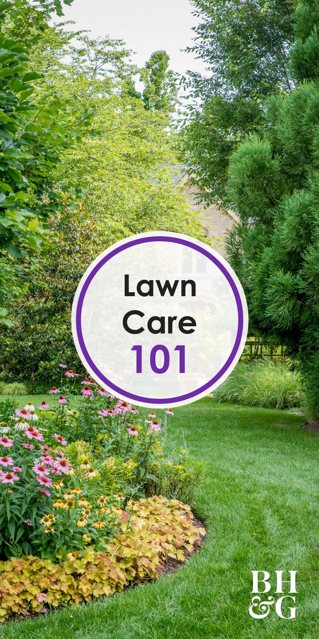 2881 best handy garden plans images on pinterest plants yard ideas and courtyard ideas 2881 best handy garden plans images on pinterest plants yard ideas and courtyard ideas