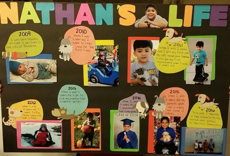 Write my school project for me