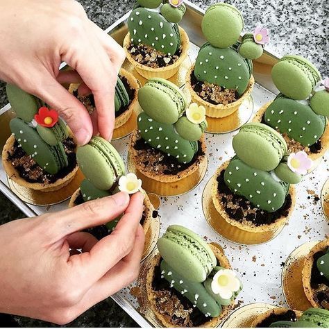 Idée de présentation de macarons verts pour former des mini cactus