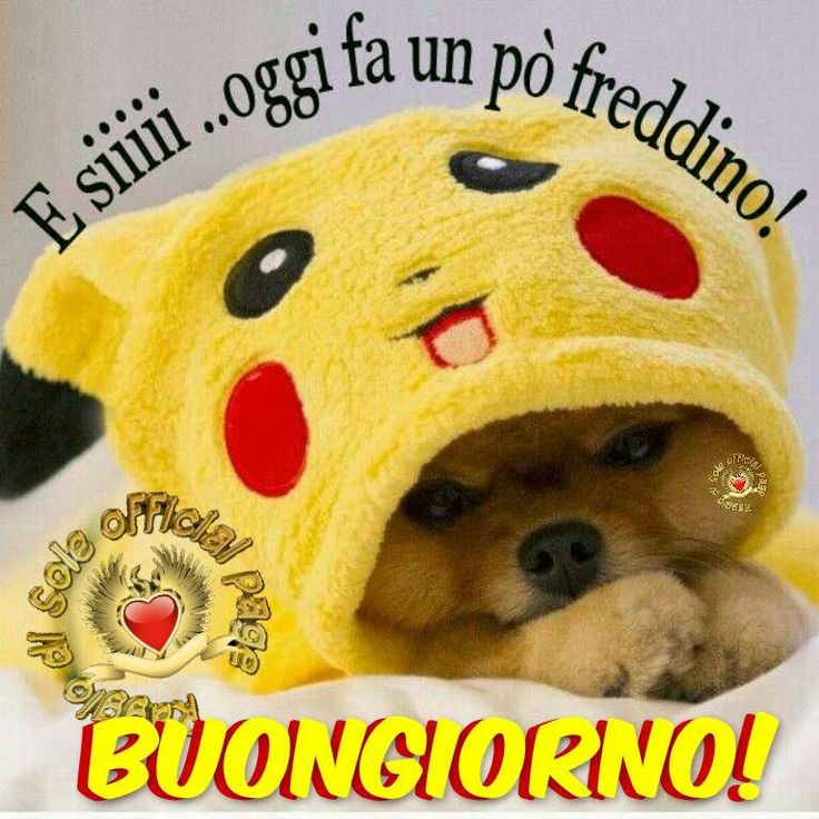 Buongiorno Con Sole E Freddo Pin di Bruna Brighetti su Buongiorno | Buongiorno immagini, Buongiorno
