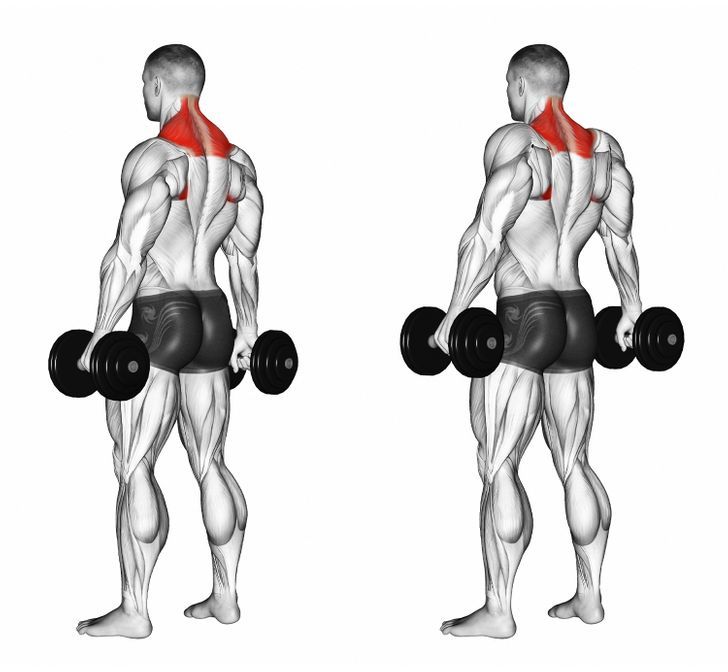 11 Shoulder Exercises That Would Make Arnold Schwarzenegger Proud Of You Shoulder Workout Neck Exercises Upper Back Exercises