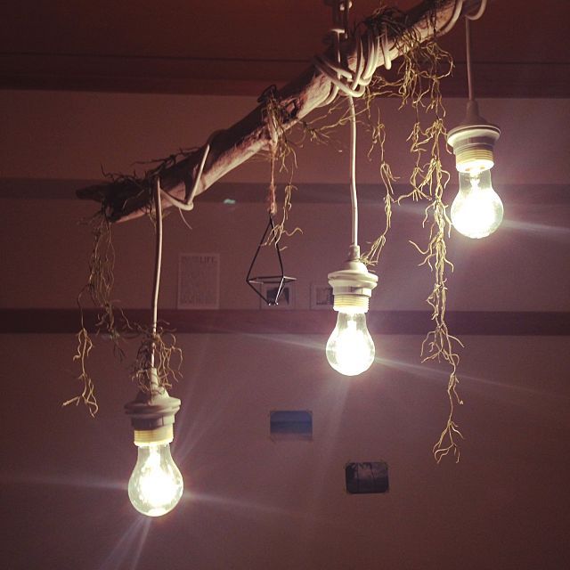 ベッド周り 流木 照明 Diy Ikeaのインテリア実例 16 06 12 23 22 37 Roomclip ルームクリップ 照明 Diy シーリングライト インテリア 実例 ベッド周り 流木 照明 Diy Ikeaのインテリア実例 16 06 12 23 22 37 Roomclip ルームクリップ 照明 Diy シーリングライト インテリア 実例