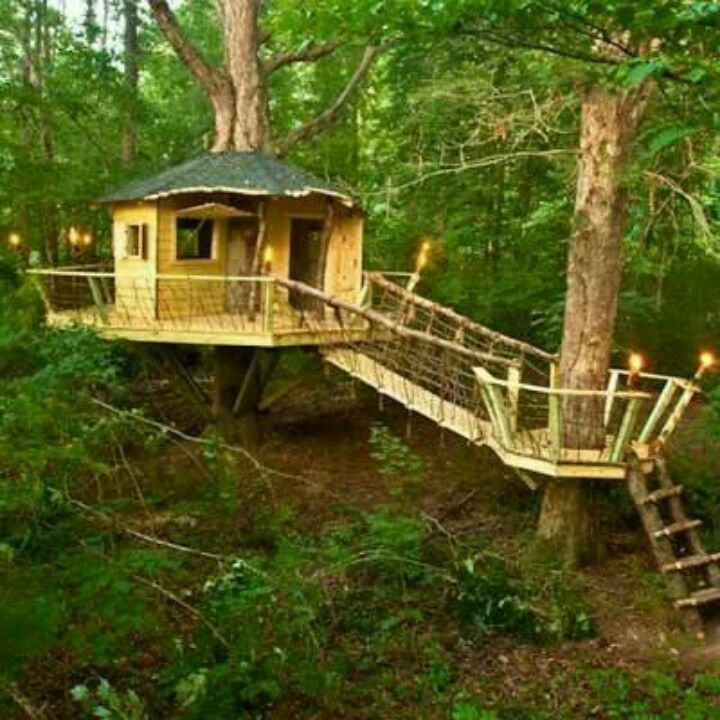14 best awesome tree houses images on pinterest | awesome tree 14 best awesome tree houses images on pinterest | awesome tree