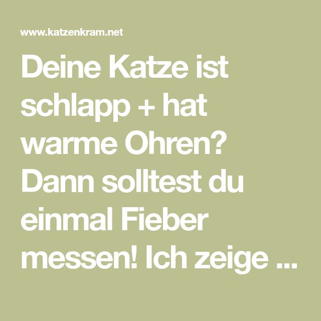 Katzen Warme Ohren Katzen Warme Ohren