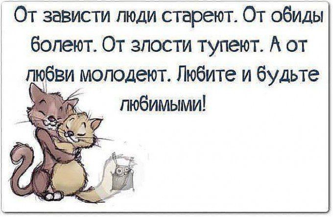Смешная, афоризмы смешные про любовь на картинках