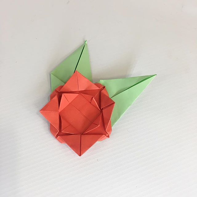 بالصور الأوريجامي فن طي الورق الرائع الاقتصادي سورية Origami Paper Art Origami Day Origami