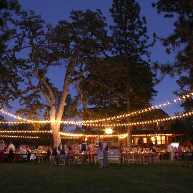 website leaning tree lodge placerville