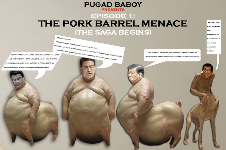 11 Best Memes Images On Pinterest Pork Barrel Barrels And Meme