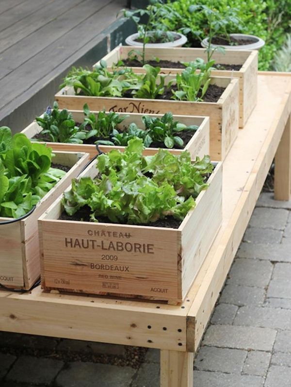 Vegetable Garden Ideas Diy best 25+ urban gardening ideas on pinterest | growing vegetables Vegetable Garden Ideas Diy best 25+ urban gardening ideas on pinterest | growing vegetables