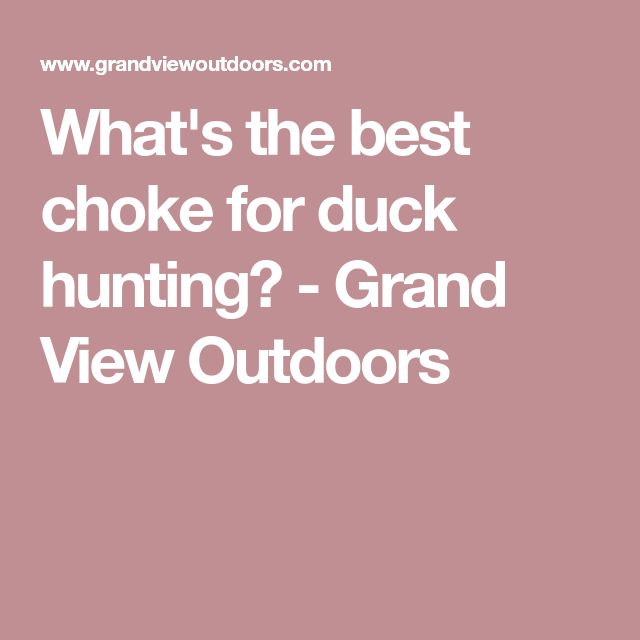 Decoys Decoys