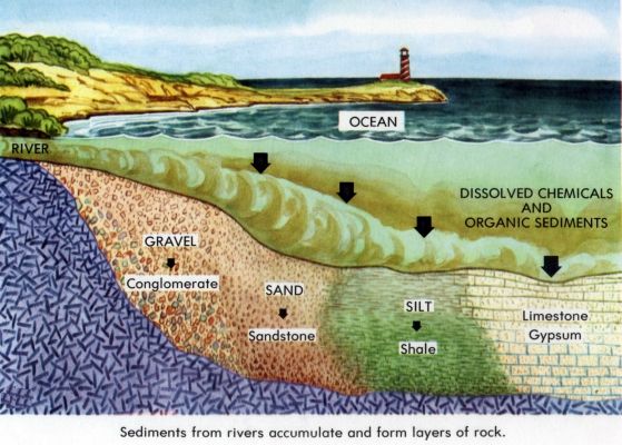 231 best geology images on pinterest earth science science and sedimentary rocks form