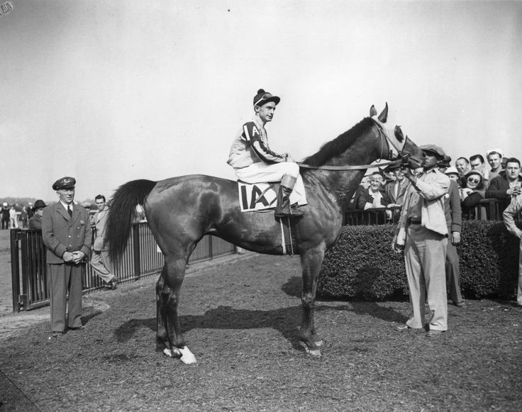 Devil Diver National Museum Of Racing And Hall Of Fame Horses devil-diver-national-museum-of-racing-and-hall-of-fame-horses
