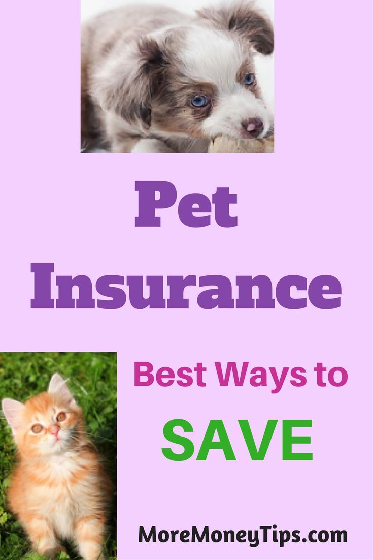 Best Comparison Of Insurance All Over The Uk From Top Insurers At Compare Market Insurance Save More Wit Energy Saving Tips Cheap Insurance Quotes Save Energy