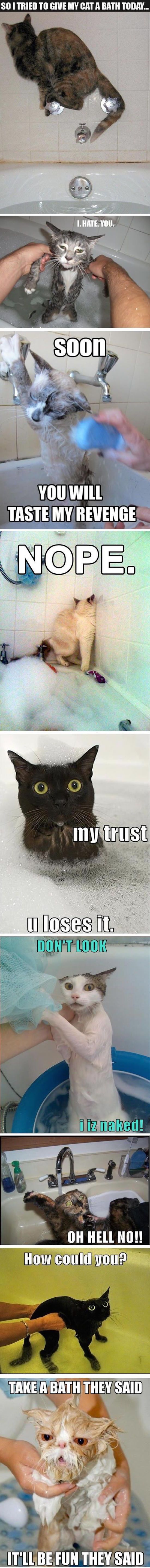 The 21 Best Funny Pictures Of Today's Internet
