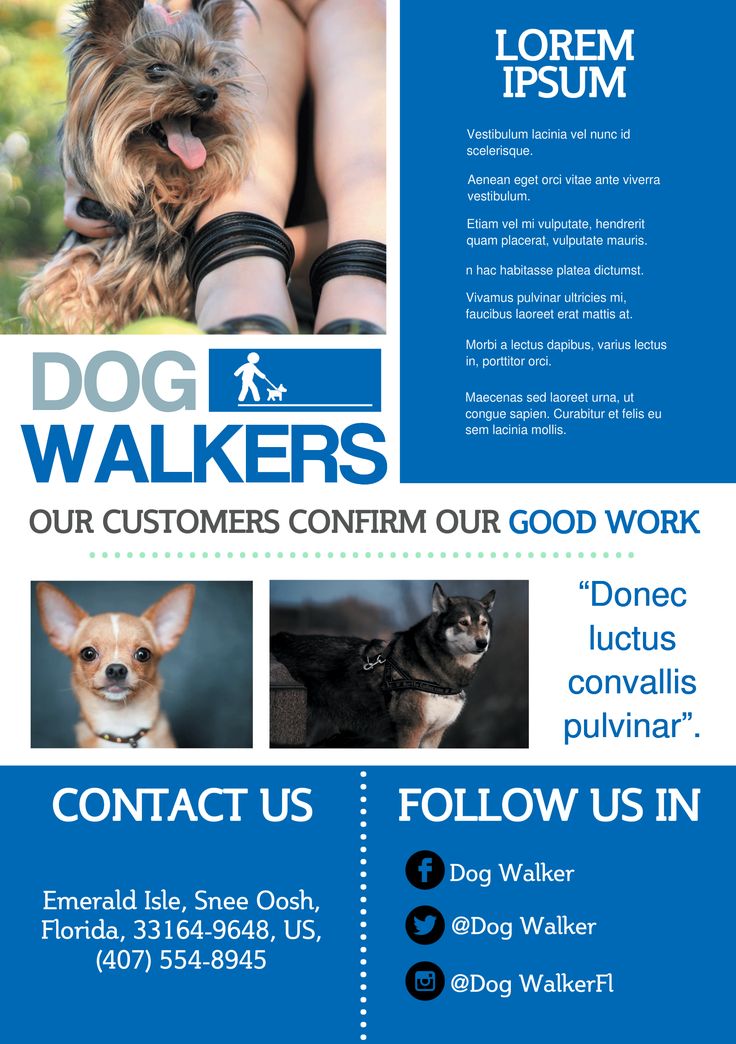 Best 25+ Dog walker flyer ideas on Pinterest Dog walking flyer - lost pet flyer maker Best 25+ Dog walker flyer ideas on Pinterest Dog walking flyer - lost pet flyer maker